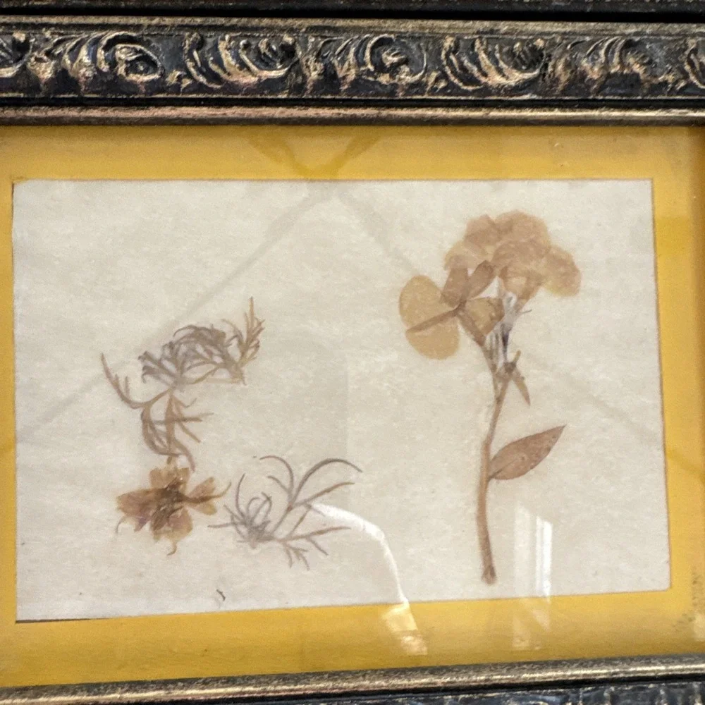 Vintage Pressed Flower Botanical Wall Art Lot of 4 Framed Nature Cottage Decor